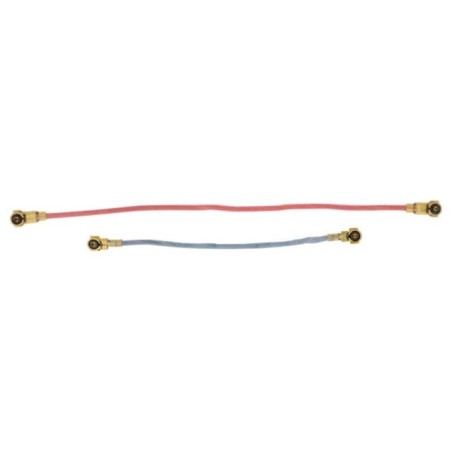 Set des 2 câbles antennes internes du Samsung Galaxy S6