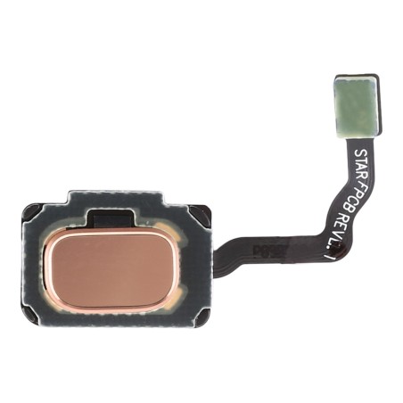 Lecteur d'empreintes Or du Samsung Galaxy S9 Plus