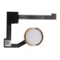 Nappe bouton Home Or de l'iPad Air 2