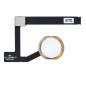 Nappe Home de l'iPad Mini 5 Or (Gold)