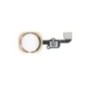 Nappe bouton Home Or de l'iPhone 6