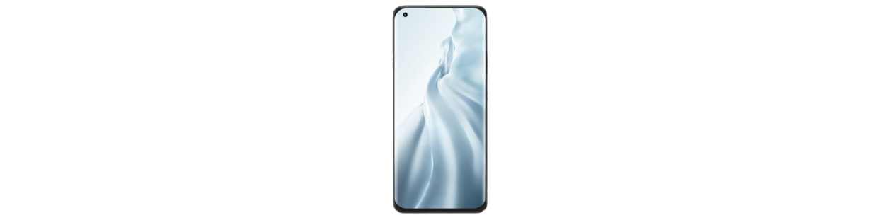 Xiaomi Mi 11 5G