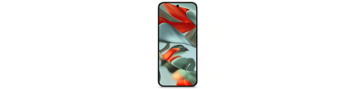 Pixel 9 Pro XL