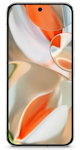 Pixel 9 Pro