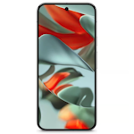 Pixel 9 Pro XL